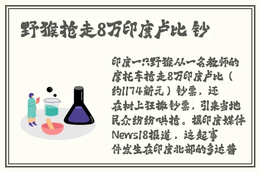 美眉网